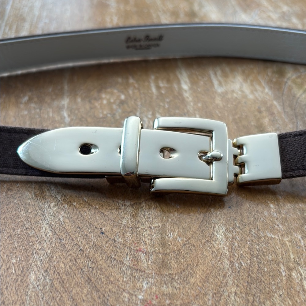 Elegant Brown and Gold Belt